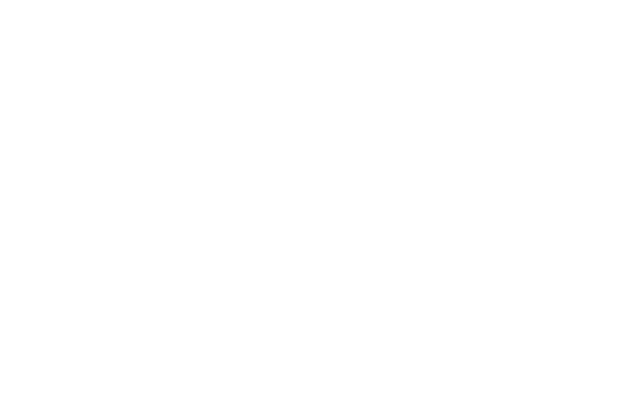 Spider Networks