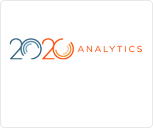 20/20 Analytics (CSS)