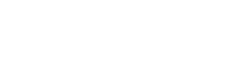 LEVEARGE Business Solutions